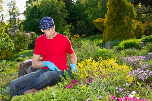 Beautiful London garden with a variety of plants