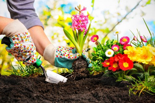 Selection of hardy perennials suitable for London climate