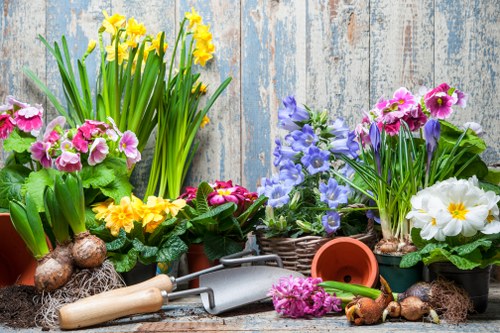 Healthy soil preparation for London gardens